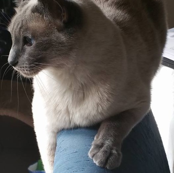 Meet your Posher, Debra - Picture 1 of 1